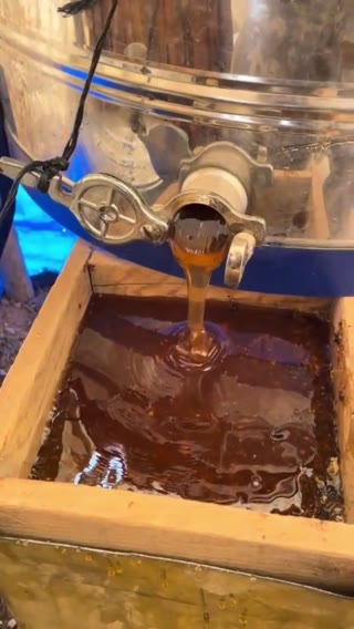 Yığılca kestane balı video 1